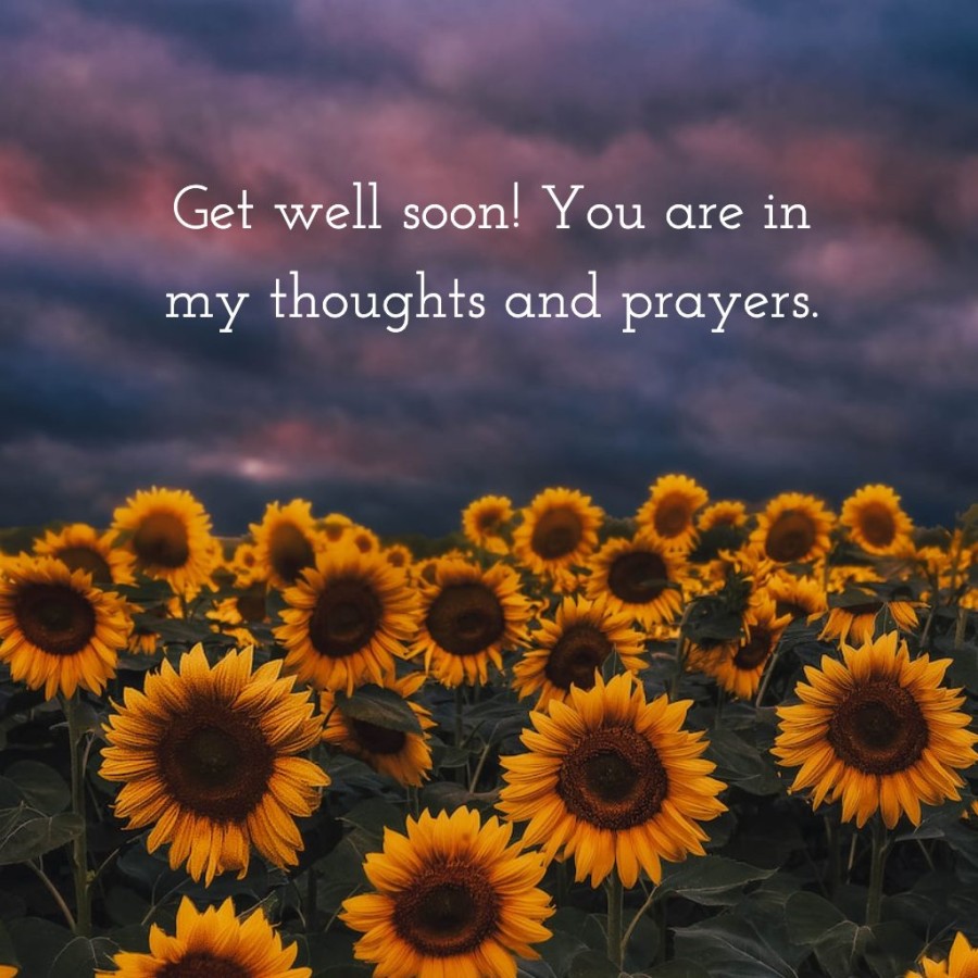 Get well soon! You are in my thoughts and prayers.